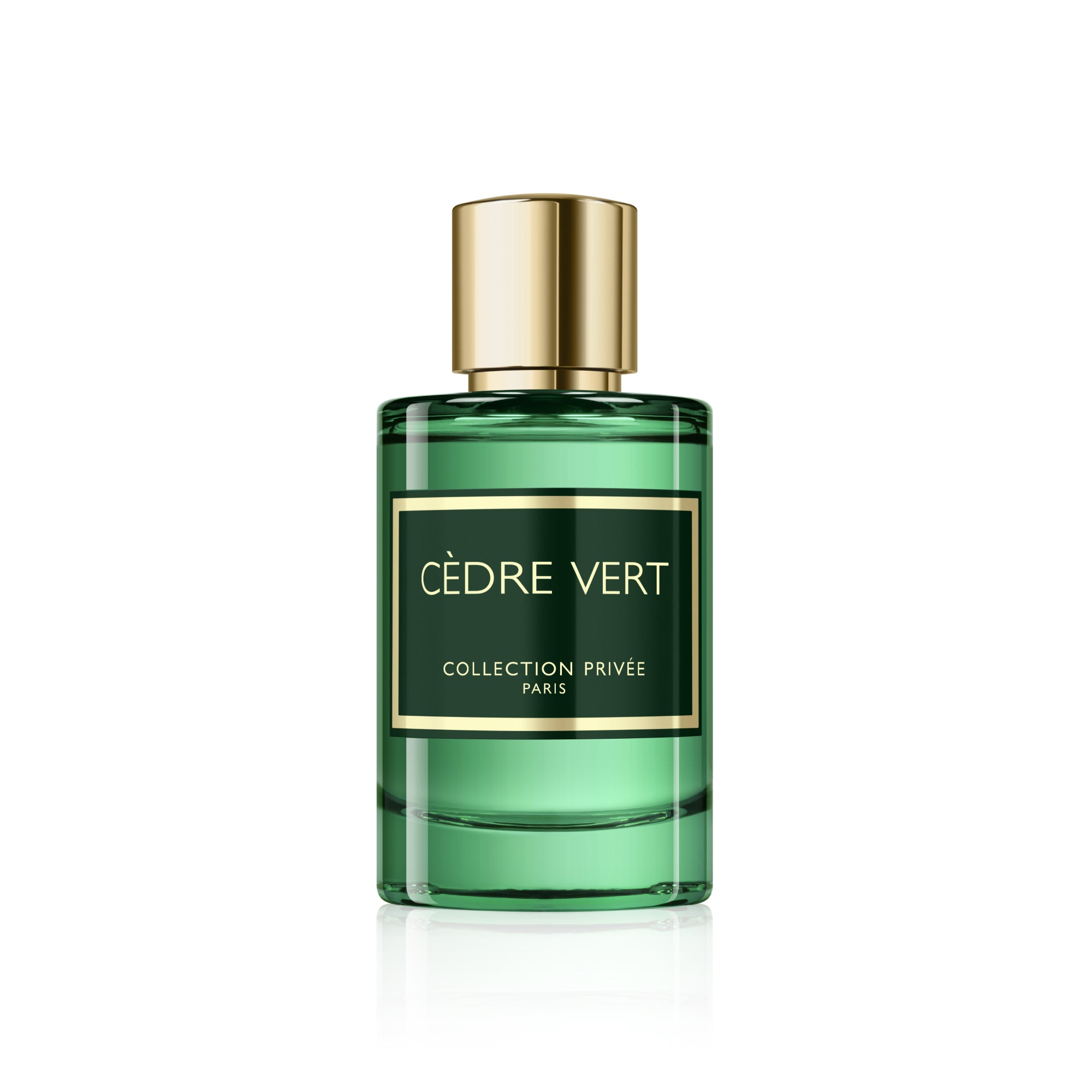 Cèdre Vert